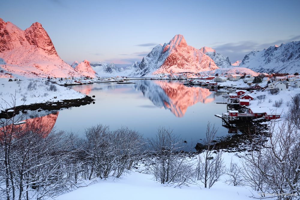 Reine