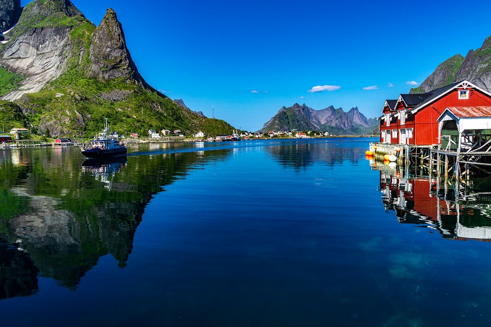 Reine ...