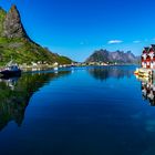 Reine ...