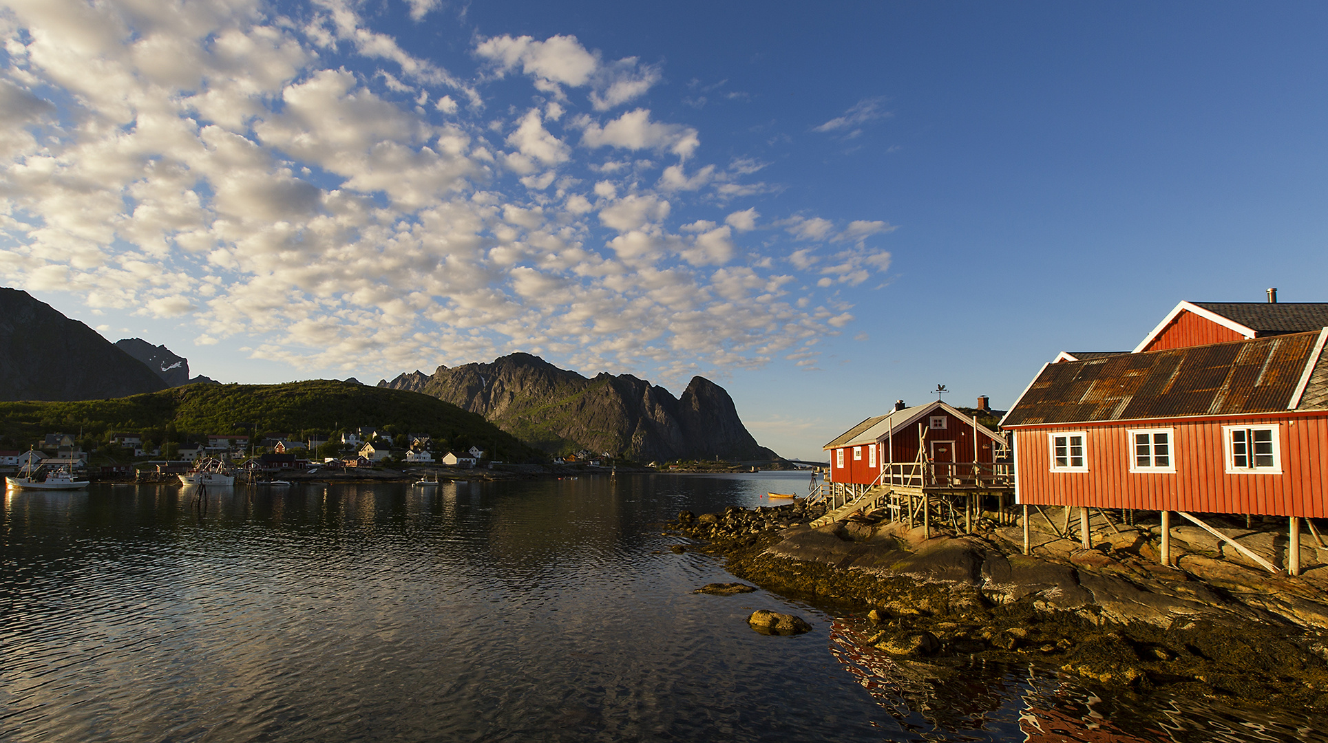 Reine