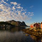 Reine