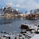 Reine