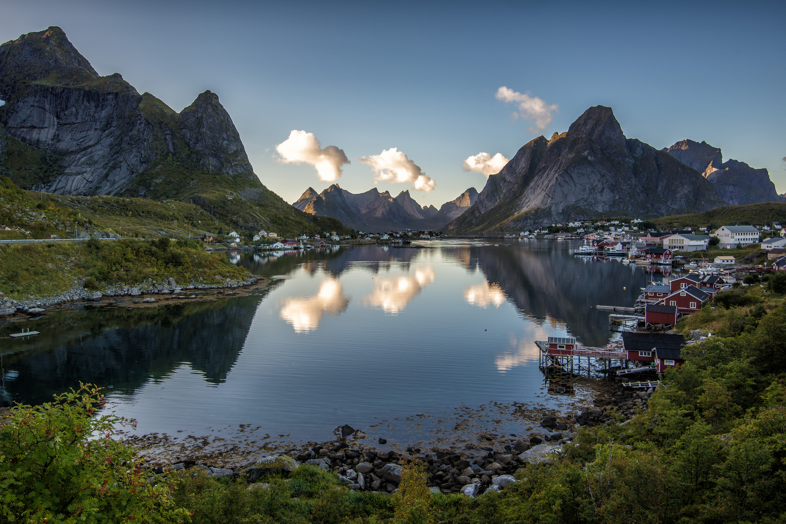 Reine