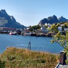 Reine 15