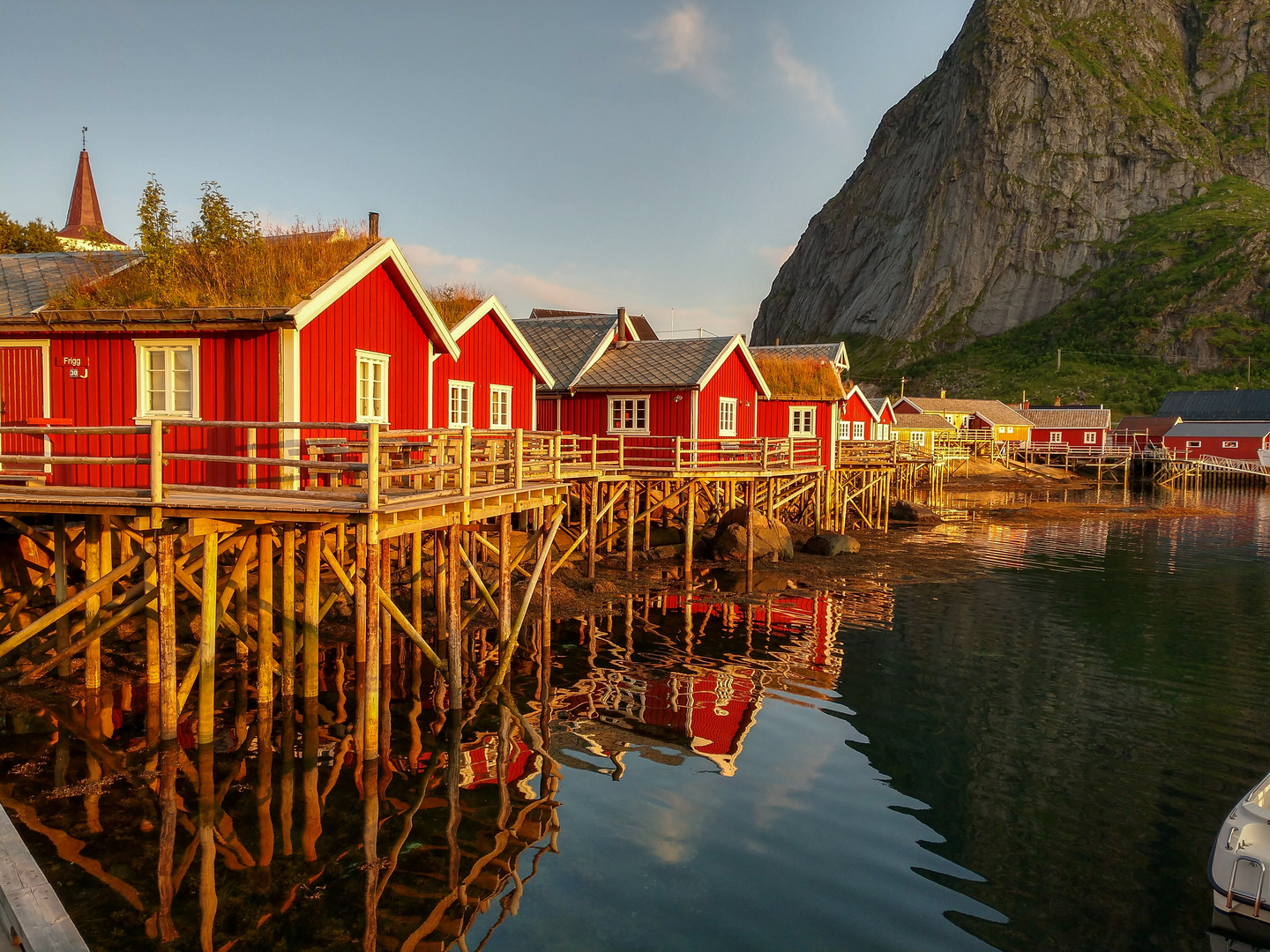 Reine 18