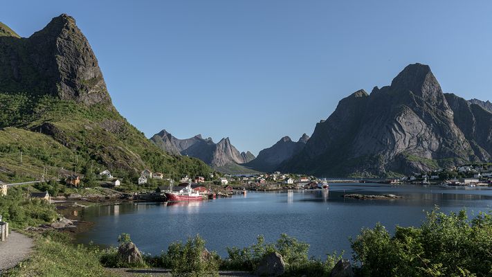 Reine