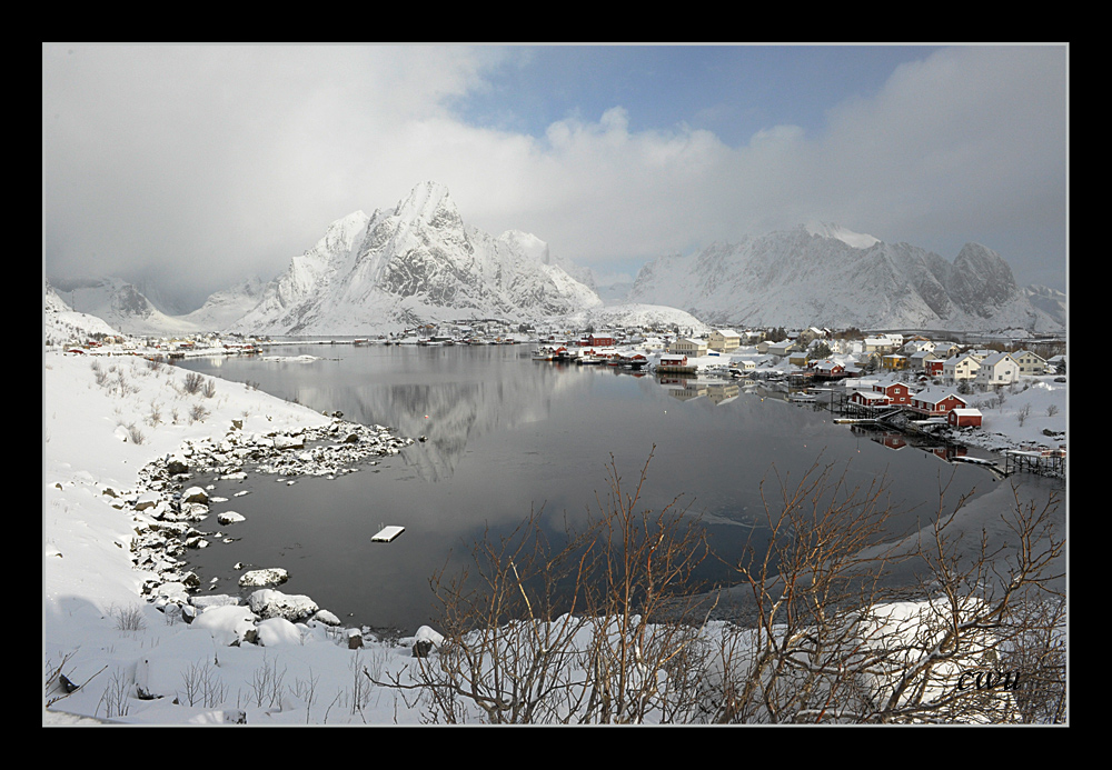 Reine