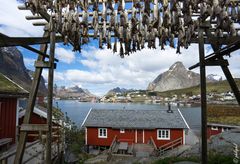 Reine 2