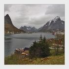 Reine 2...