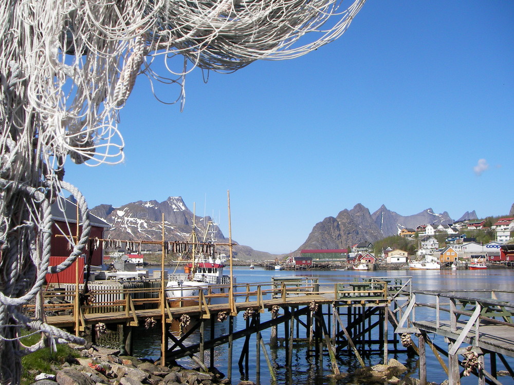 Reine 2008