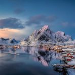 Reine