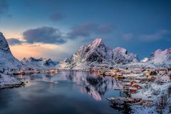 Reine