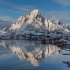 Reine