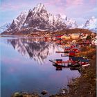 Reine