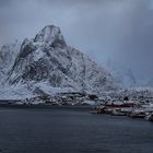 Reine