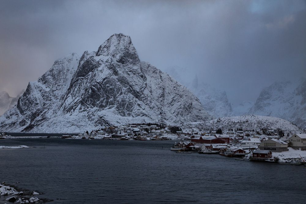 Reine