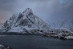 Reine