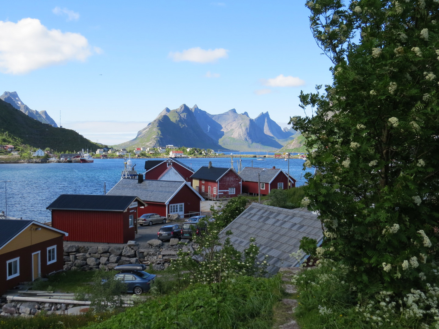 Reine 4