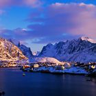 Reine