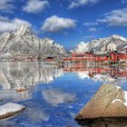 Reine