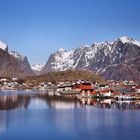 Reine