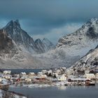 Reine