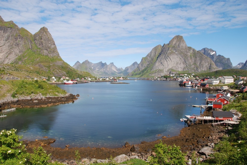 Reine