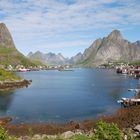 Reine