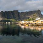 Reine