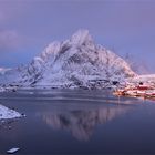 Reine