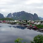 REINE