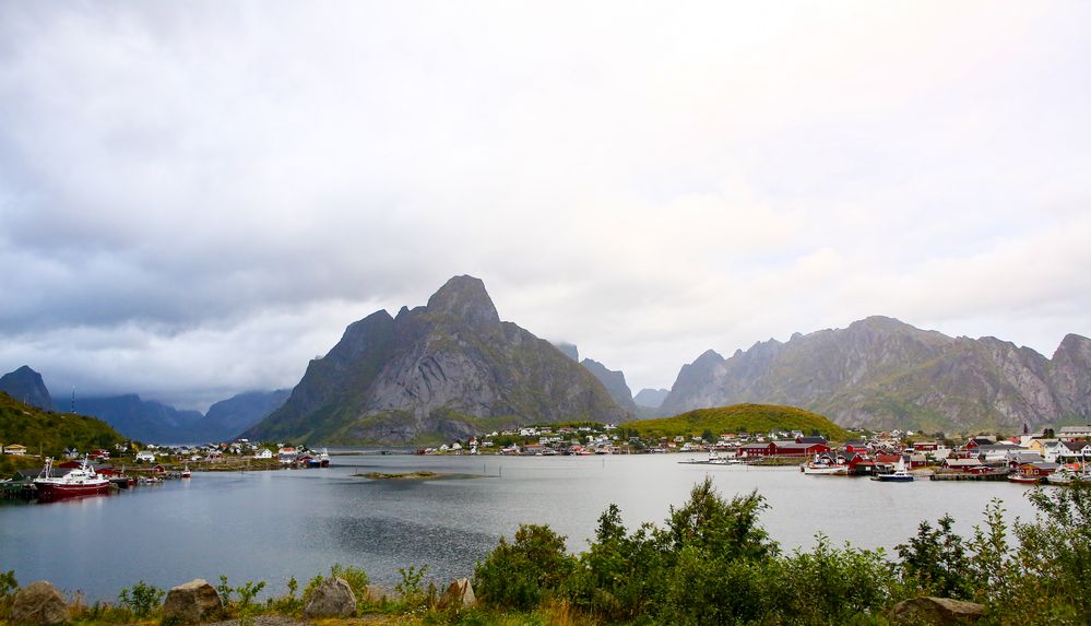 Reine