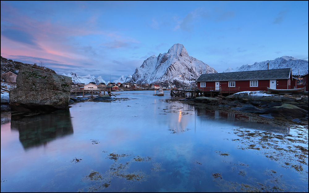 Reine..................