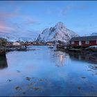 Reine..................