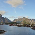 Reine