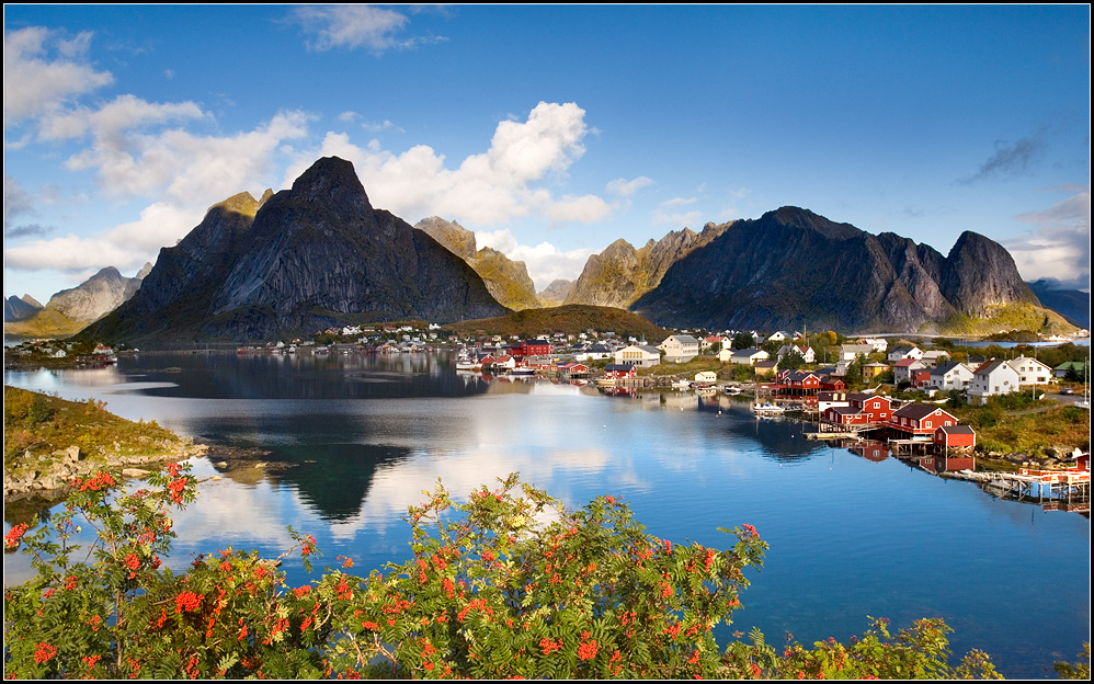 Reine