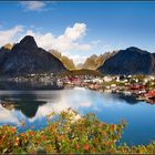 Reine