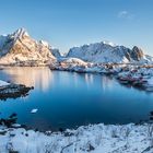 Reine