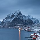 Reine