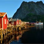 Reine