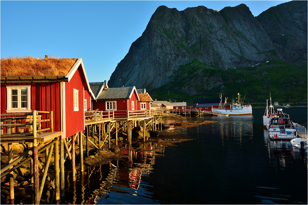 Reine