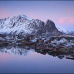 Reine...