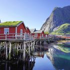 Reine auf den Lofoten