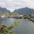 Reine auf den Lofoten