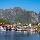 Reine