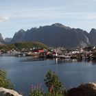 Reine