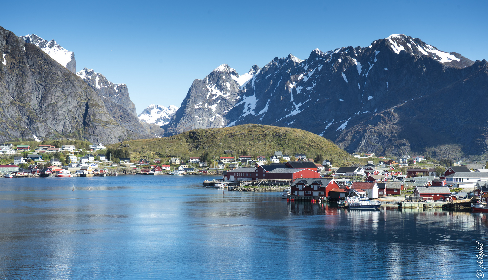 Reine