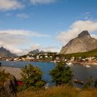 Reine