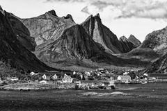 Reine