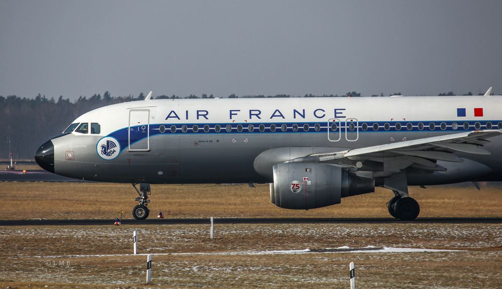 Reine de beauté française